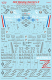 1/48 Scale AV-8B II Plus Hell Raising Harriers II