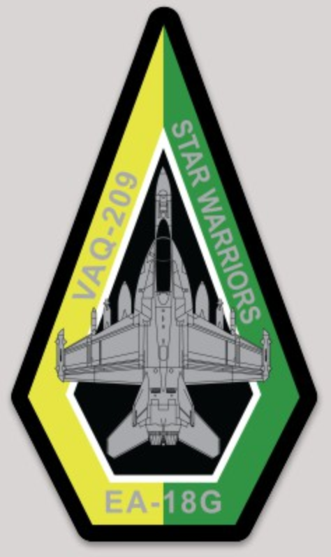 激レア VAQ-209 STAR WARROIRS 2020 グラウラー EA-18G VAQ-209 