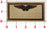 Officially Licensed Navy Region Southeast Commander Patch
