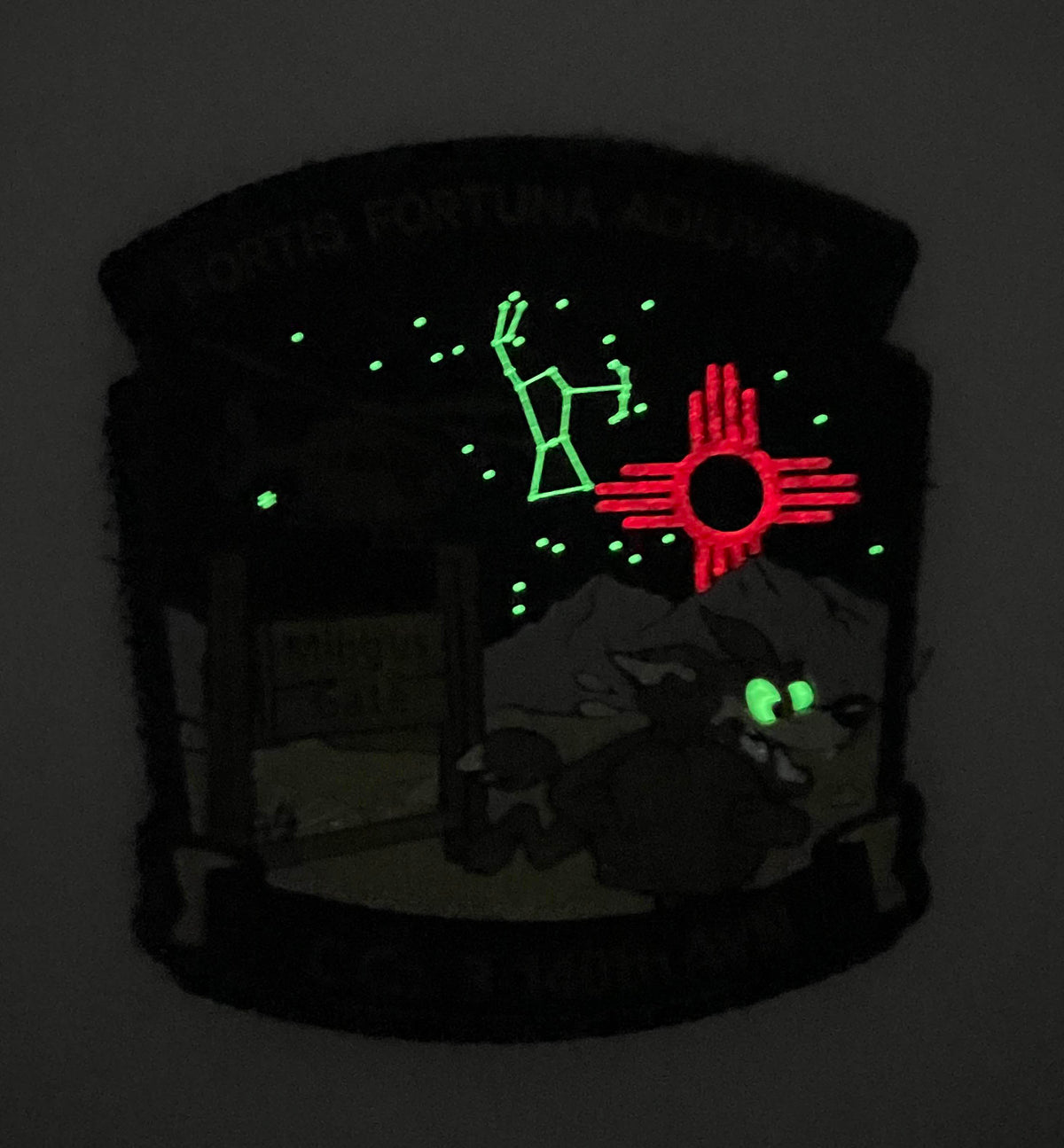Official New Mexico Army Guard C Co 3-140th Aviation Mingus Gate PVC Patch