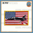 Official VT-22 Golden Eagles T-45 US Flag Patch