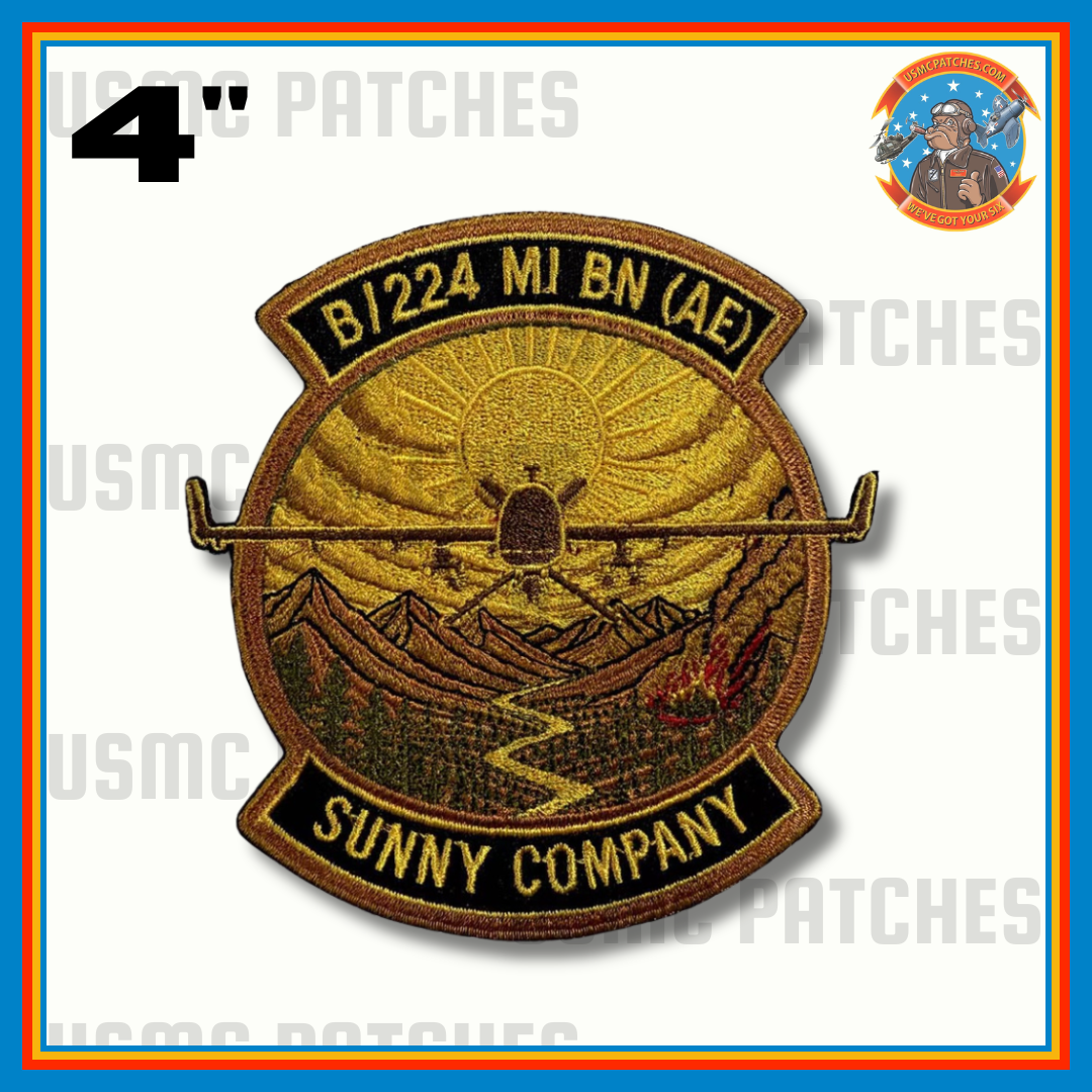 B/224th MI BN (AE) Sunny Company Patch