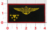 Name Tag / Pilot Wings