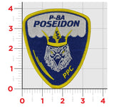 Official VP-9 Golden Eagles Shoulder Patch