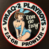 VMAQ-2 Playboys 15.75”