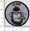 LR SIG