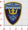 Instructor Pilot