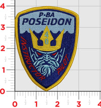 Official VP-40 Fighting Marlins Shoulder Patches