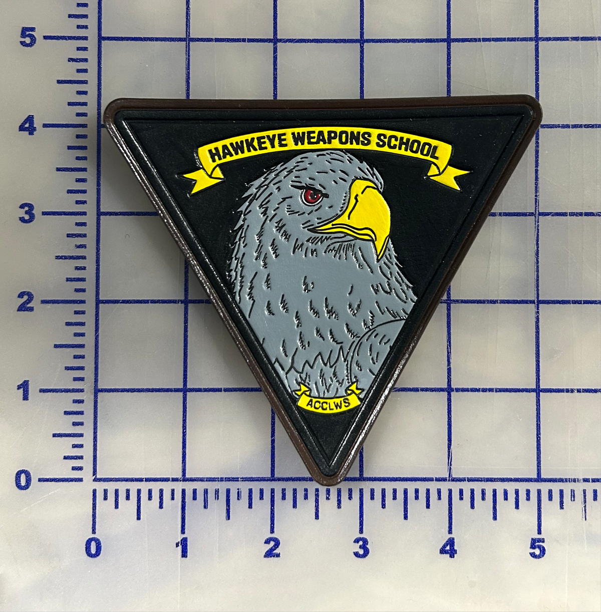 Officially Licensed E-2 Hawkeye Weapons School Leather patch