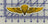 Marine Recon Wings Sticker