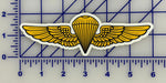 Marine Recon Wings Sticker