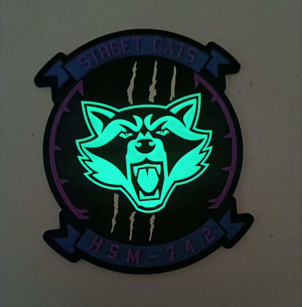Official HSM-74.2 Street Cats DET PVC patch