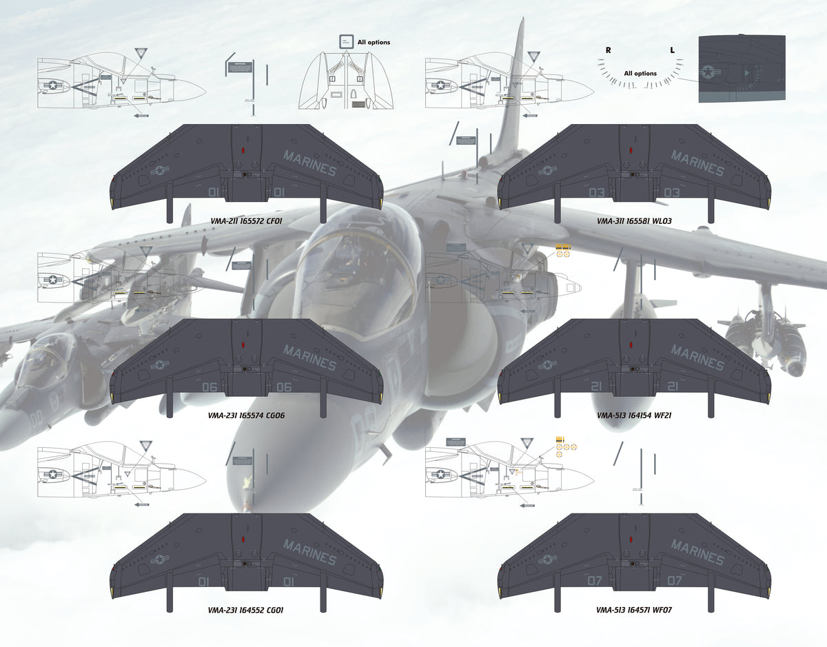 AV-8B NA / II Plus Hell Raising Harriers