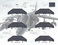 AV-8B NA / II Plus Hell Raising Harriers