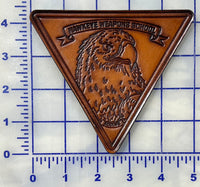 Officially Licensed E-2 Hawkeye Weapons School Leather patch