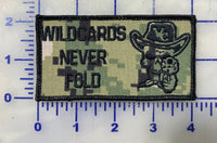 Officially Licensed HSC-23 Wildcards Command Flags Patch