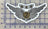 Combat Aircrew Wings Sticker