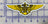Navy/USMC Aviator Wings Sticker