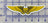 Navy/USMC NFO/WSO Wings Sticker