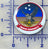 Officially Licensed US Navy VT-31 Wise Owls Button
