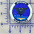 Officially Licensed US Navy VT-35 Stingrays Button