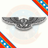Official US Navy EAWS Enlisted Aviation Warfare Specialist Wings Decal