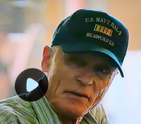 Official HAL-3 Seawolves Ball Cap