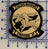 Officially Licensed US Navy VFA-87 Golden Warriors Squadron Patches