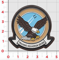 Officially Licensed VT-7 Eagles Leather Squadron Patch