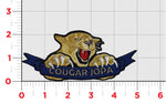 Official VAQ-139 Cougars JOPA Patch