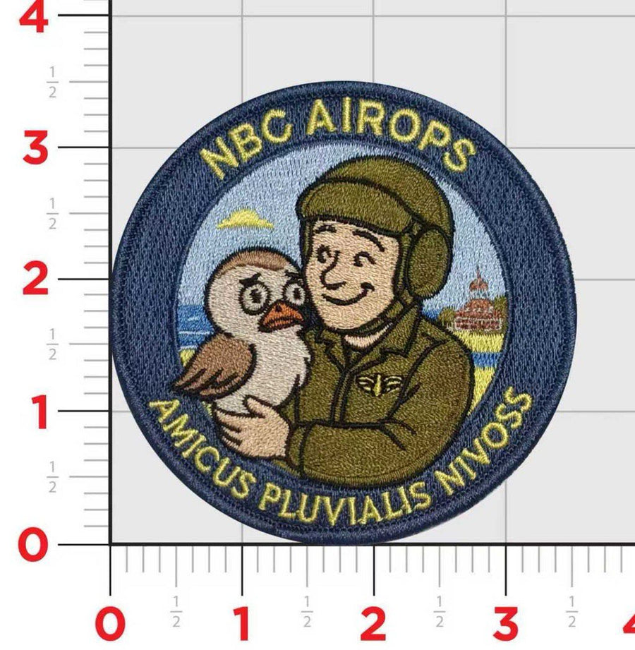Naval Base Coronado Snowy Plover Patch