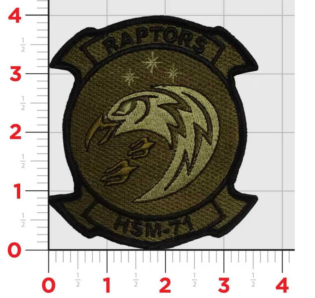 Officially Licensed US Navy HSM-71 Raptors Command patches
