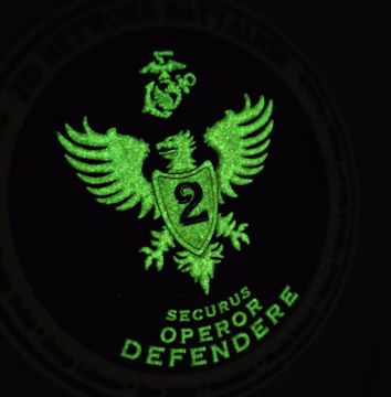 Officially Licensed 2nd Network Battalion PVC Patch