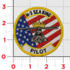 Pilot