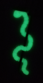 30 Worst MEU Storm Chasers PVC Patch