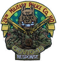 US Army 29th Military Police Company Patch