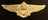 US Navy/Marines Wings Pins