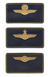 Atlas Leather Name Tags