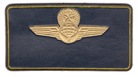 Atlas Leather Name Tags