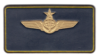 Atlas Leather Name Tags