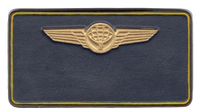 Atlas Leather Name Tags