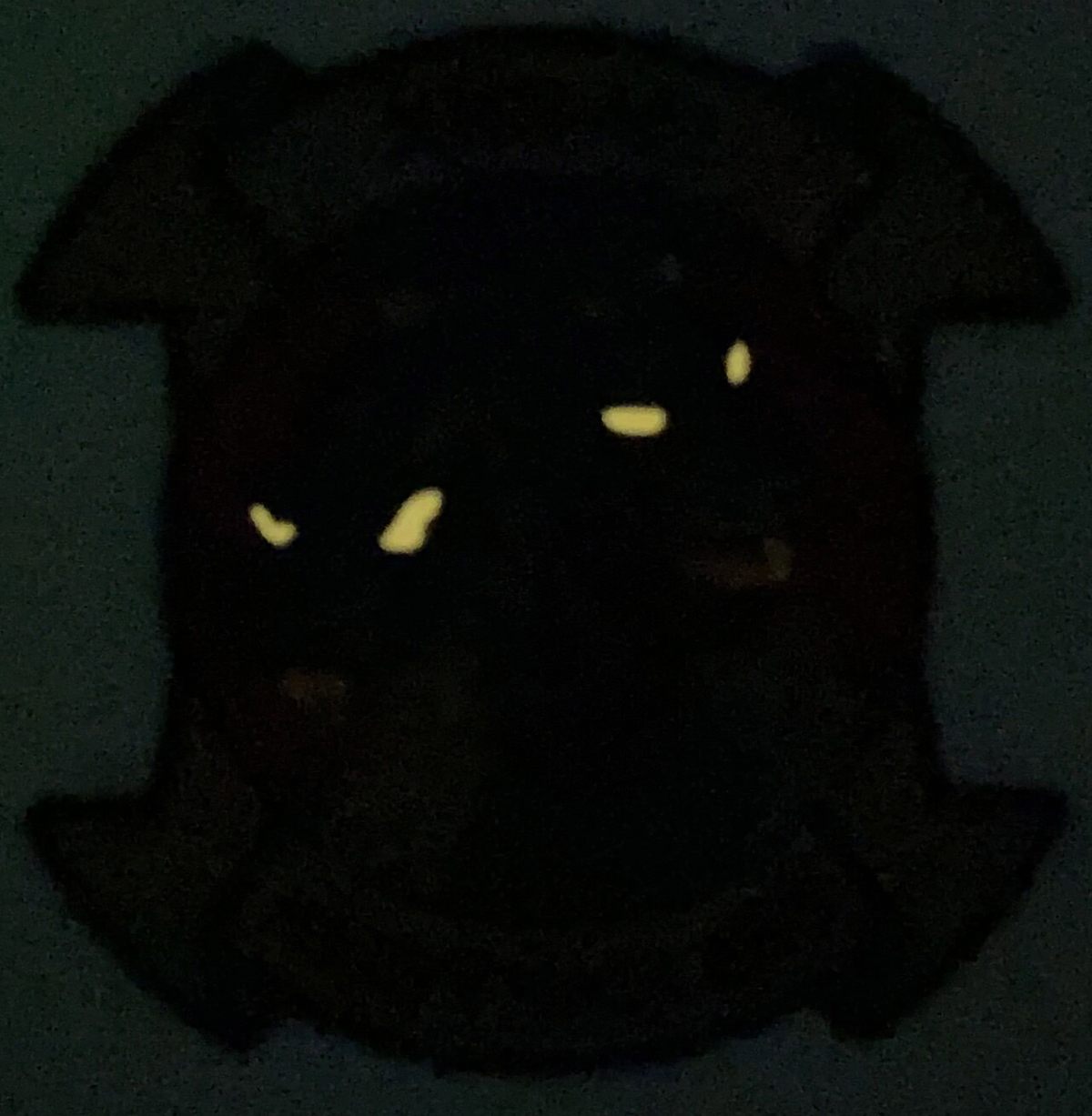 Officially Licensed HMH-462 Heavy Haulers PVC Glow Patch