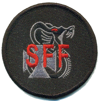 Official HMLA-169 Flightline Qualification Patches
