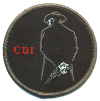 HMLA-369 Flightline Qualification Patches