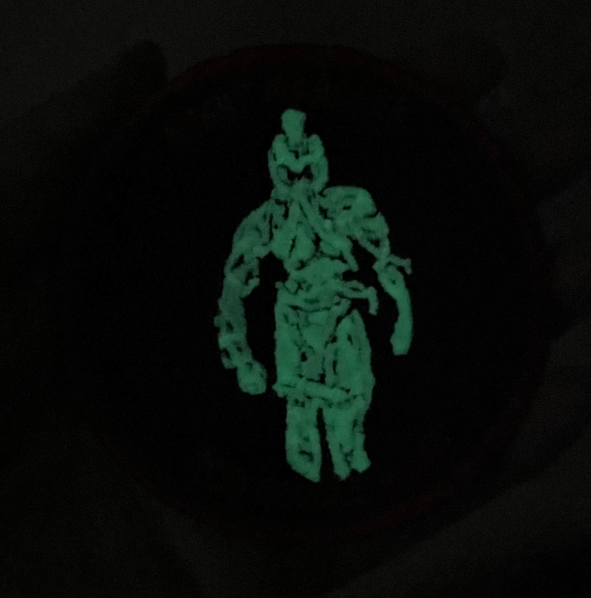 Official VMM-363 Red Lions NVG Night Vision Goggle Patches