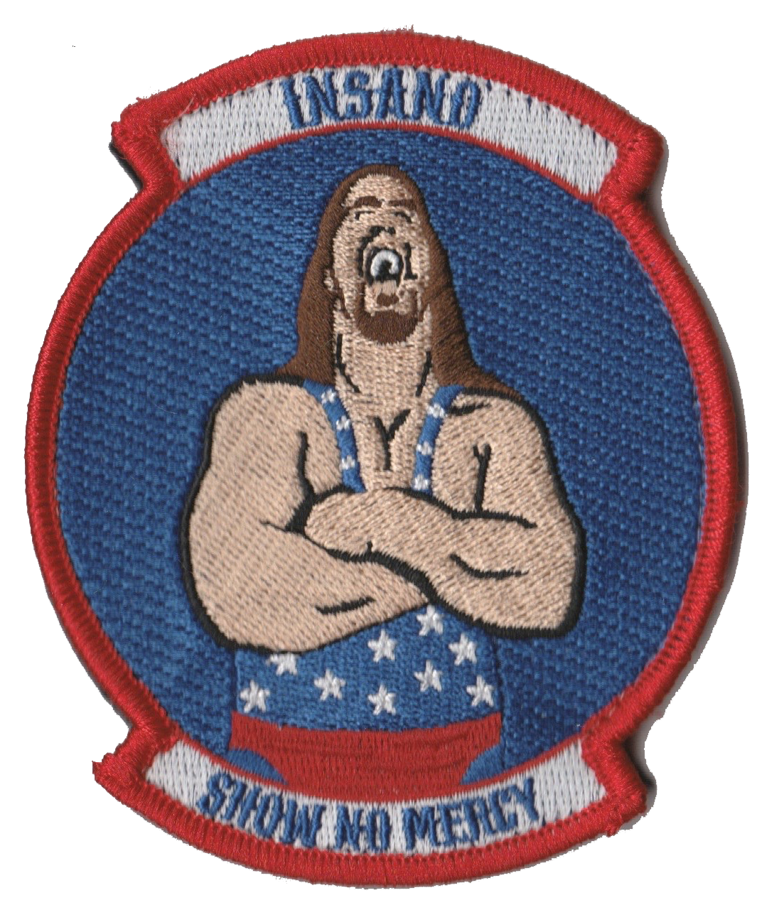 HMLA-369 Insano 26 MEU DET Patch