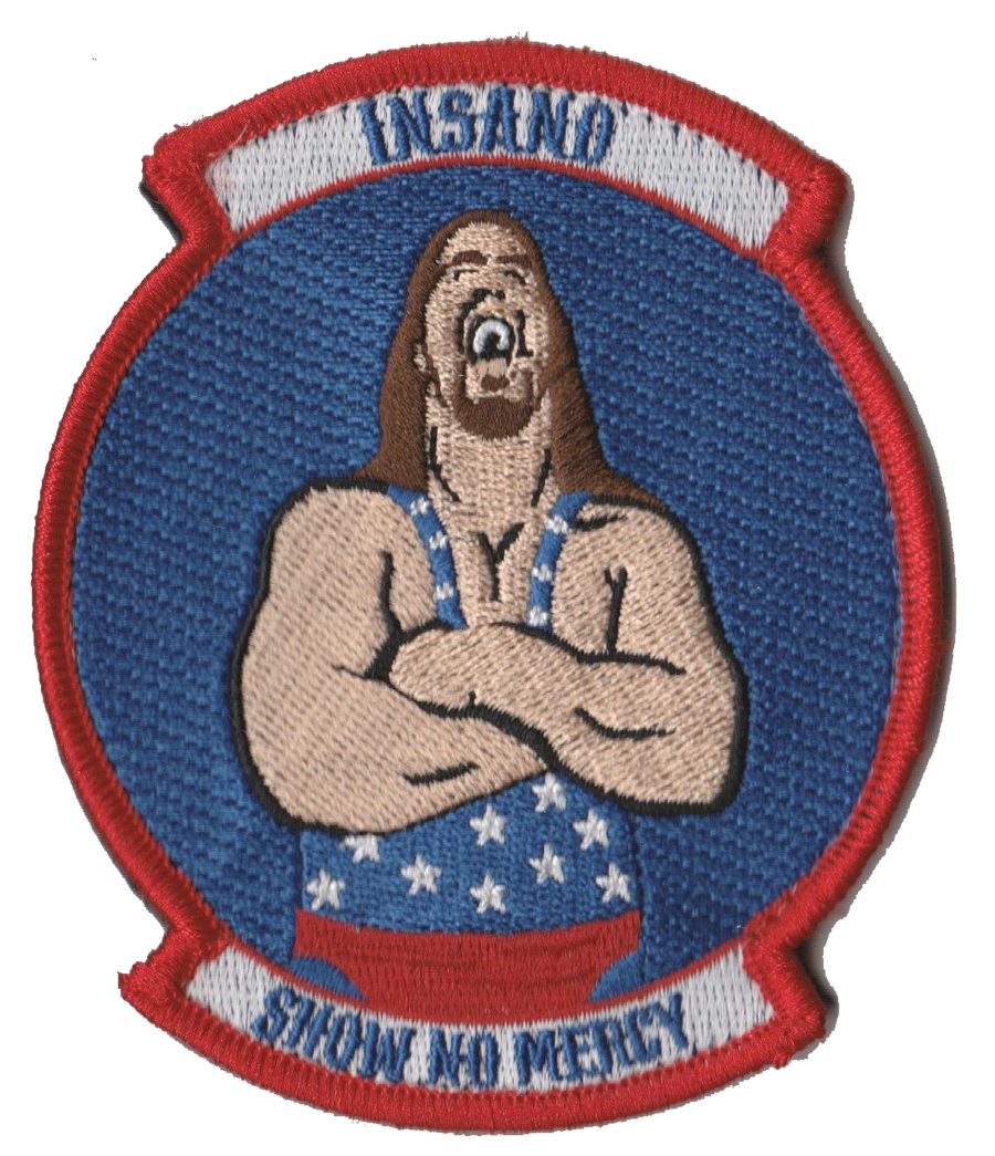 HMLA-369 Insano 26 MEU DET Patch