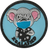 Koalafied Covid Qual patches
