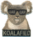 Koalafied Qualification Patches