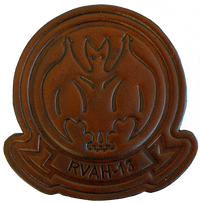 Officially Licensed US Navy RVAH-13 Bats Leather Squadron Patch